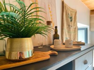 a potted plant sitting on top of a kitchen counter at Petite maison ardéchoise in Saint-Michel-de-Chabrillanoux +23 photos