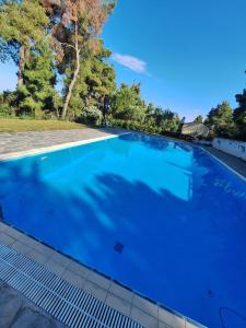 a large swimming pool with blue water at nikol villa elani in Siviri