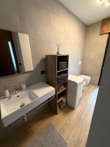 a bathroom with a sink and a toilet at Mountain Apartments Tarvisio in Tarvisio +23 photos