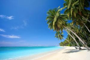 two palm trees on a beach with the ocean at Pousada Boa Vista in Maragogi