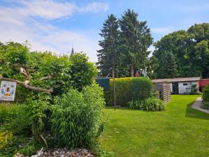 a garden with green grass and bushes and trees at hundefreundliches Ferienhaus in Kröslin