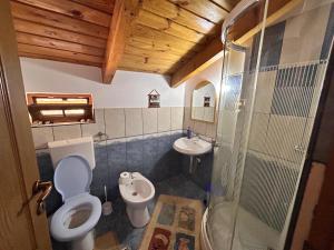 a bathroom with a toilet and a sink at Casa Verde in Vrîncioaia Negrileşti +24 photos