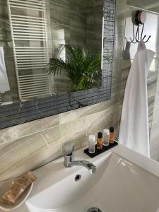 a bathroom with a sink and a mirror and a sink at Chill Garden House in Satu Mare +4 photos