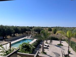 a swimming pool in a yard with palm trees at Bàcula Nzícula Marzamemi in Marzamemi +31 photos