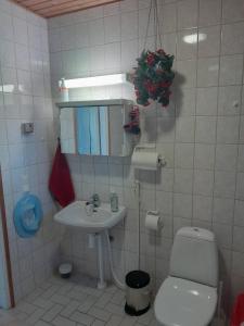 a bathroom with a toilet and a sink at Suns Tupa - Travellers Marmalade in Siikalatva +19 photos
