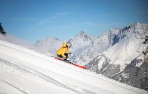 a person is skiing down a snow covered mountain at Mountain Chalet Bergblick Top 2 in Fieberbrunn +11 photos