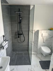 a bathroom with a shower and a toilet at Apart centar Pliva , Jajce in Jajce