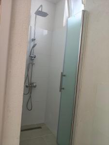 a shower with a glass door in a bathroom at Green Thuja House in Făgăraş