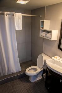 uma casa de banho com um WC, um chuveiro e um lavatório. em Atlantic Inn em Melbourne