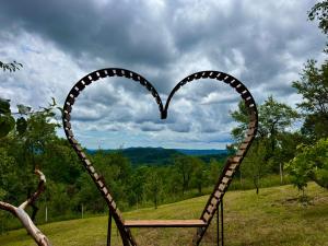 a pair of heart shaped chairs in a field at Cabana Galaxy A Frame by Cabanele Galaxy in Cucuteni
