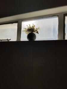 a vase sitting on top of a shelf with a window at Koshoka Home in Ompanda +2 photos
