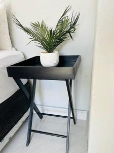 a black table with a plant on top of it at Koshoka Home in Ompanda