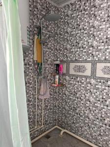 a shower in a bathroom with a tiled wall at Уметалиев Канат in Birlik