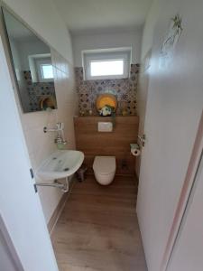 a small bathroom with a toilet and a sink at Ferienhaus am Edersee-scheid in Waldeck +27 photos