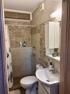 a small bathroom with a toilet and a sink at Diamanti Stone House in Lafiónas