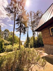 a view from the side of a house with trees at Mezi Smrky in Bohostice +9 photos