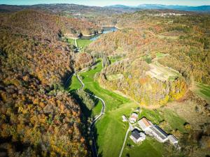 an aerial view of a forest in the fall at Posestvo Brida in Ilirska Bistrica