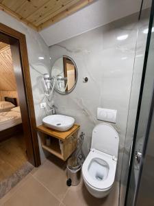 a bathroom with a toilet and a sink and a mirror at Guesthouse Alpini in Lëpushë +20 photos