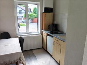 a small kitchen with a sink and a window at Green Thuja House in Făgăraş