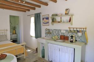 a kitchen with a counter top in a room at Oak Farm Guest House Junior in Andros +12 photos