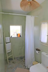 a bathroom with a shower curtain and a toilet at Oak Farm Guest House Junior in Andros