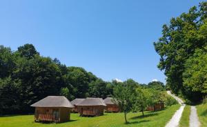 a row of huts in a field with a dirt road at Glamping Bionic healing village in Slovenska Bistrica