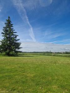 a green field with a tree and a blue sky at Kupolo patyrimas in Jurgeliškė +6 photos