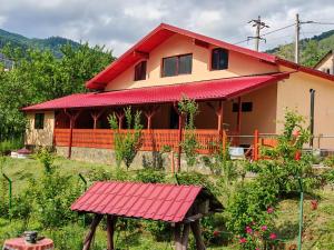 a house with a red roof at Casa Alina in Nehoiu