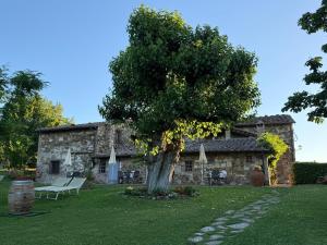 a tree in the yard of a stone house at Hotel Colle Etrusco Salivolpi in Castellina in Chianti