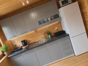 a kitchen with a sink and a refrigerator at Domek z BALIA OGRODOWA in Dłużec