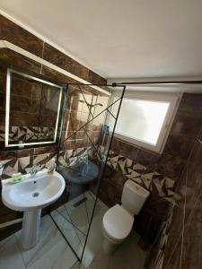 a bathroom with a sink and a toilet and a window at APARTMENT Marash in Prizren