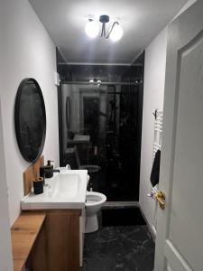 a bathroom with a sink and a toilet and a shower at RUX Central Park in Petroşani
