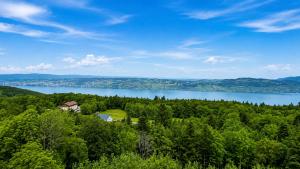 a house on top of a hill overlooking a lake at Vue Lac Léman & Télécabine à 1 minute in Thollon