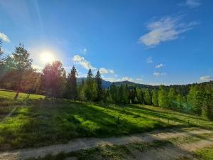 a grassy field with the sun in the sky at Вершина Мрій in Slavske