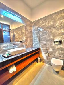 a bathroom with a sink and a toilet at Desert Oasis Camp And Resort in ladakh