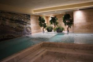 a swimming pool with potted plants in a building at Harmony Birštonas in Birštonas