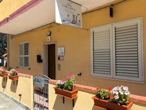 a balcony with flowerpots on the side of a building at Chill House Reggio Calabria in Reggio di Calabria +2 photos