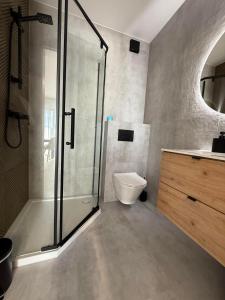 a bathroom with a shower and a toilet and a sink at Albian Apartamenty in Jantar