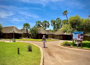 a man riding a skateboard down a road at Palmwag Lodge in Palm
