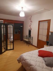 ein Schlafzimmer mit einem Bett und einem Tisch mit einem Fernseher in der Unterkunft Chambre d'hôte 4 personnes in Magnien