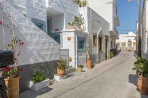 an alley with potted plants on the side of a building at Sokaki Patmos in Skala