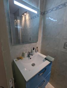 a bathroom with a sink and a mirror at Chez Marie et Hugo in Brest