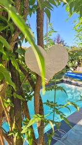 a heart hanging from a tree next to a pool at La Maison D'ayona in Herrlisheim-près-Colmar +42 photos