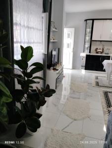 a living room with a potted plant on a tile floor at Vila Marini in Lin