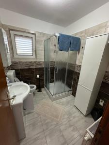 a bathroom with a shower and a sink and a toilet at Apartment & Apartment Studio Deželjin in Senj +43 photos