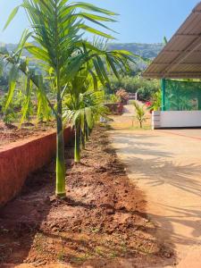 a row of palm trees next to a road at Vaidic Yoga Retreat in Ponsuli