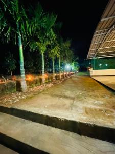 a street with palm trees and a building at night at Vaidic Yoga Retreat in Ponsuli