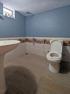 a bathroom with a toilet and a sink at The Loons Lake Villa in Tangalle +25 photos