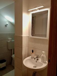 a bathroom with a sink and a mirror and a toilet at Su Tostoiu alloggio privato in Càbras