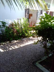 a garden with a gravel road and plants at Arham Nungwi Beach in Nungwi